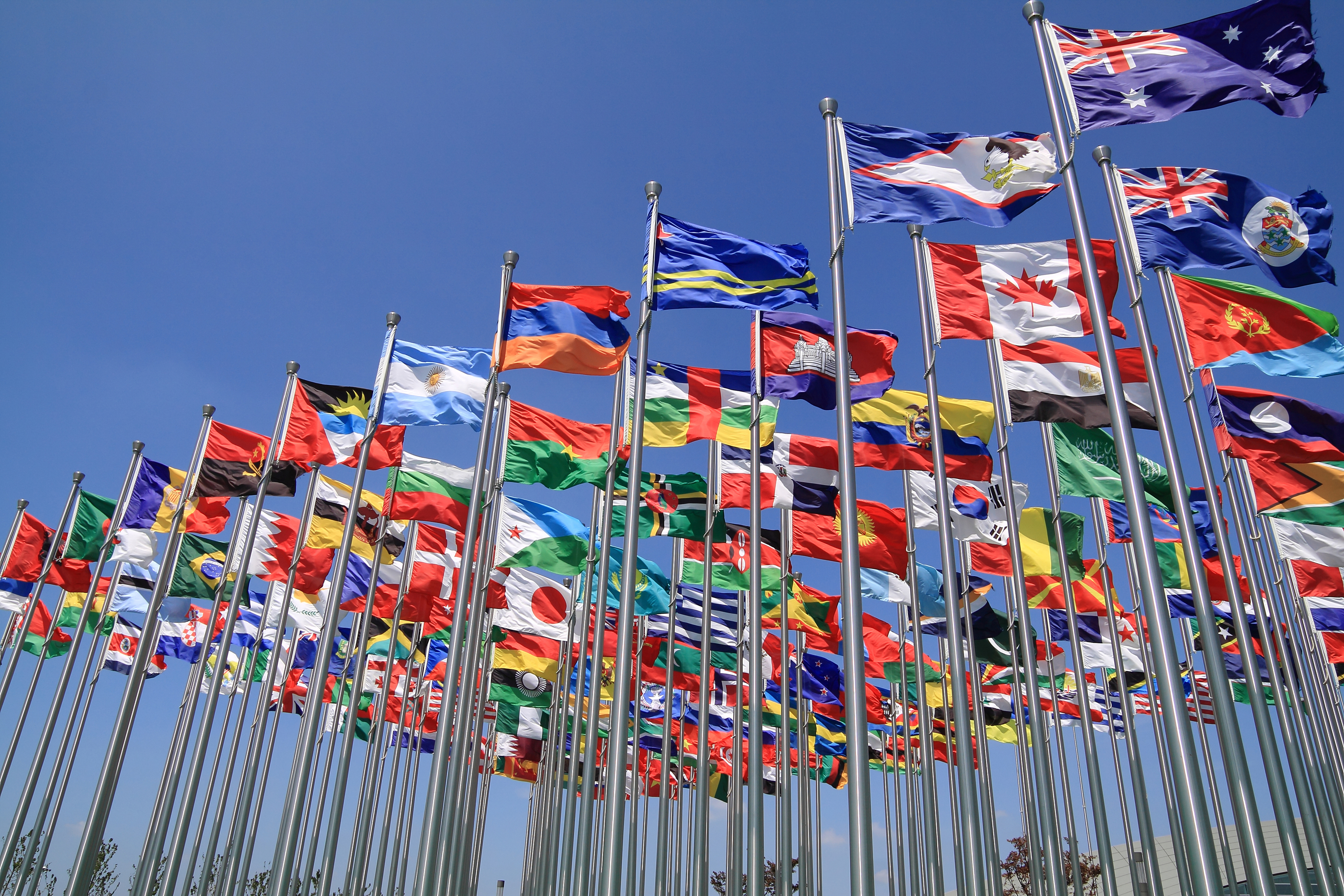 Мировое сообщество народов. ВТО ООН. Флаги всех государств. Иностранные государства. ВТО флаг.