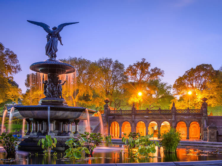 Explore Central Park like a pro