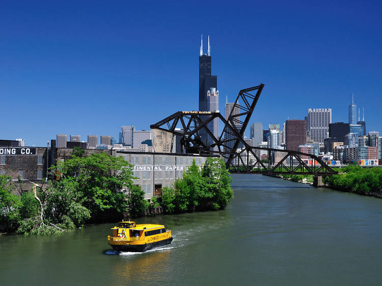 Could the Chicago River be home to the Windy City's next big transit idea?