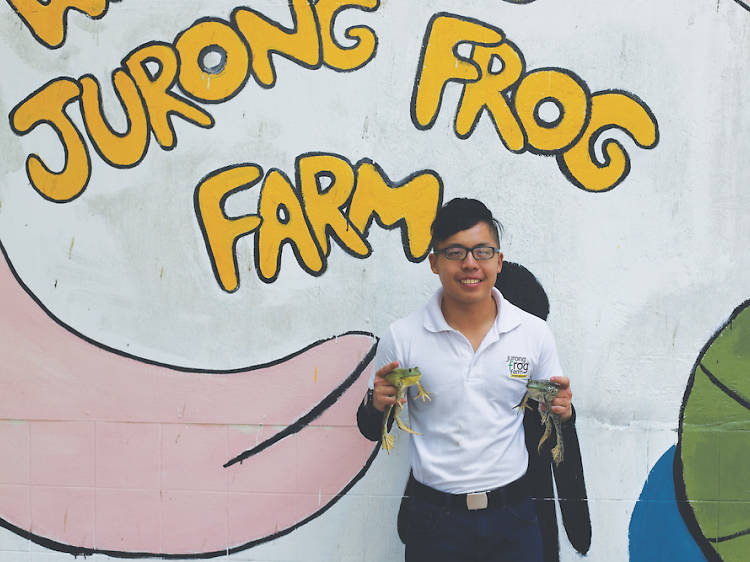 Jurong Frog Farm