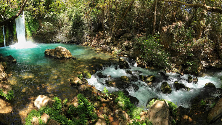 Water Hike through the Banias Nature Reserve