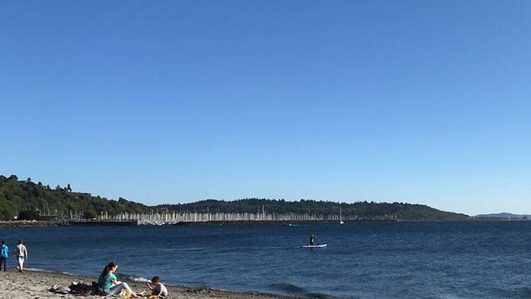 Golden Gardens