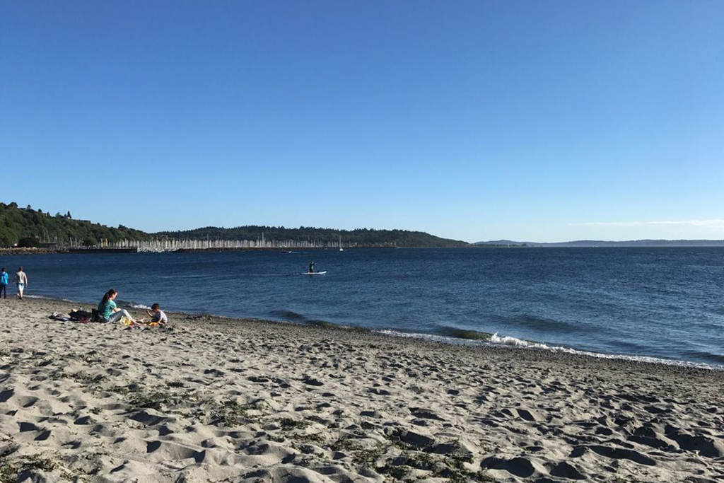 12 Awesome Seattle Beaches You Will Love