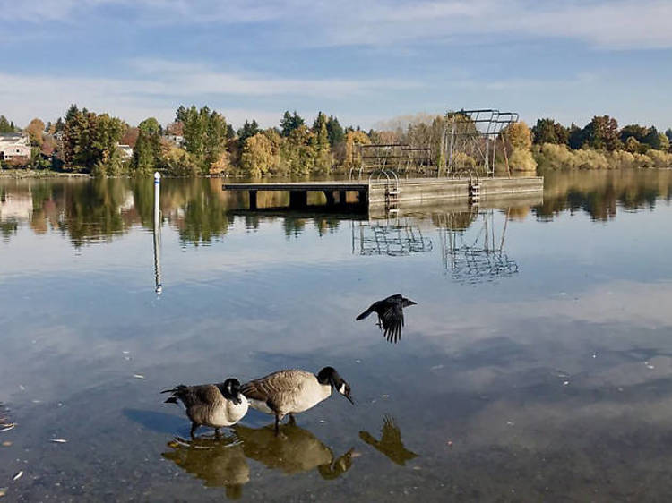 Green Lake Park