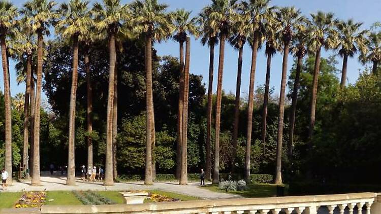 Se perdre dans le jardin national