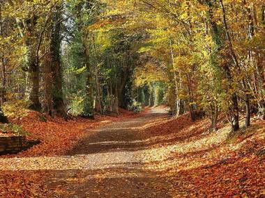 day trips from london autumn