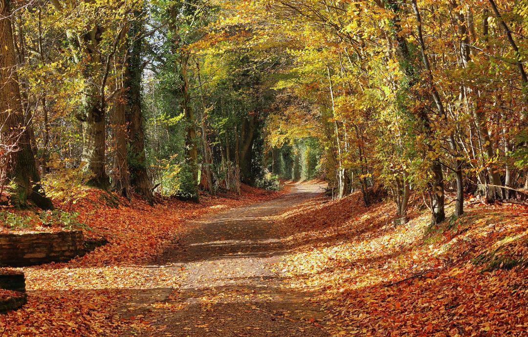 13 Amazing Autumn Day Trips From London | Autumnal Day Trips