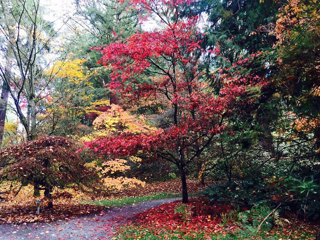 Washington Park Arboretum Washington Park Arboretum