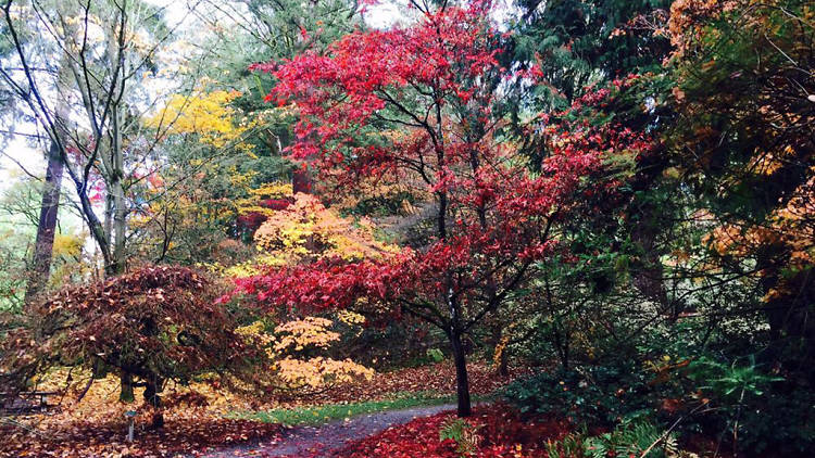 Washington Park Arboretum