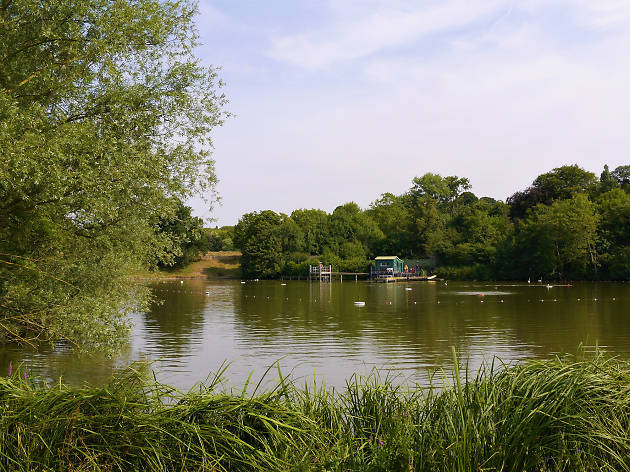 Hampstead Heath Swimming Ponds