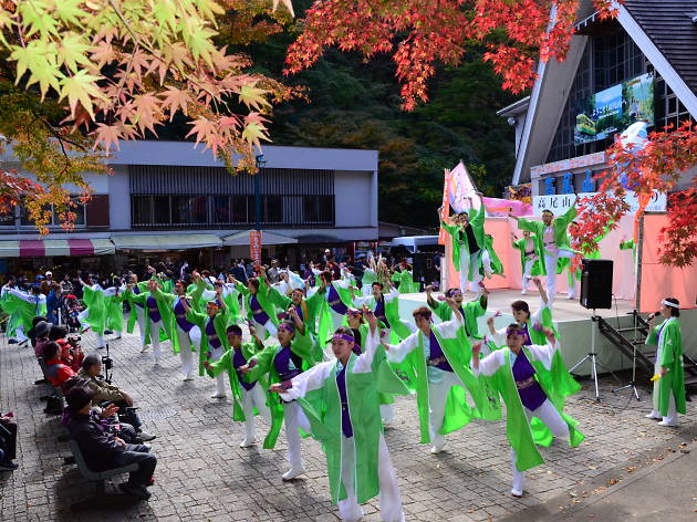 Mt Takao Maple Festival Mt Takao Maple Festival