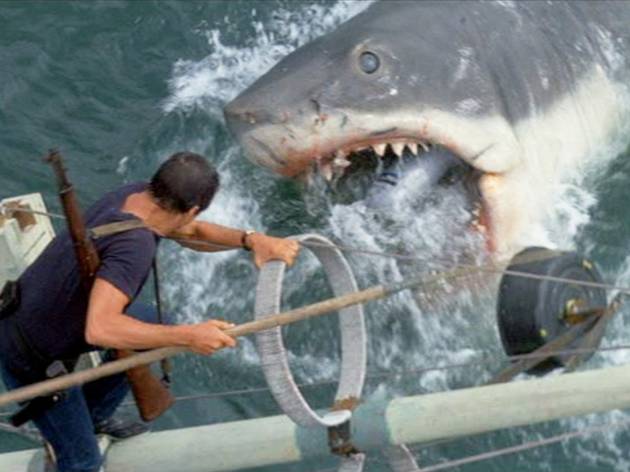 Jaws Jaws
