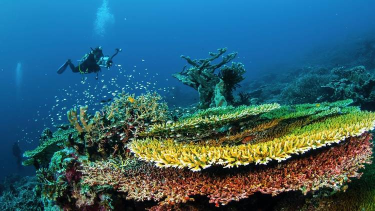 Banda Islands, Indonesia