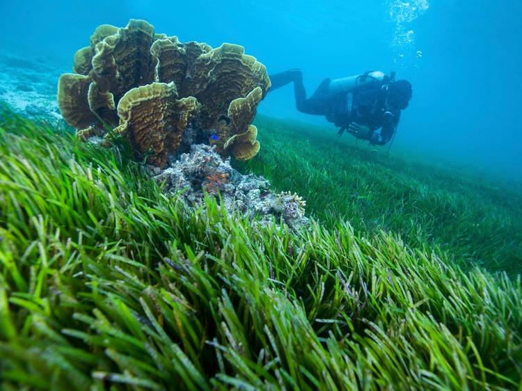 Layang Layang, Malaysia