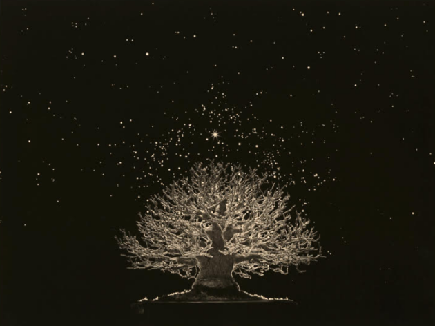 Yamamoto Masao. Microcosm - Macrocosm Yamamoto Masao. Microcosm - Macrocosm