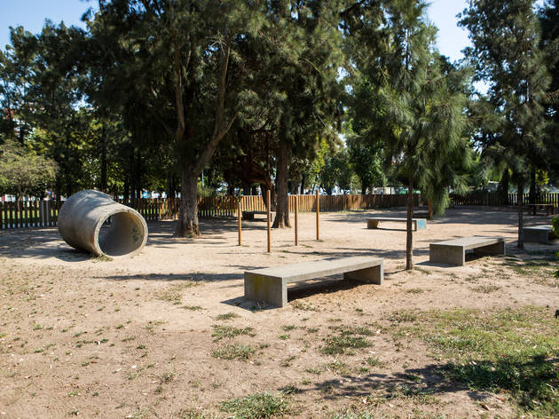 dog park, campo grande, cão, cães, parque