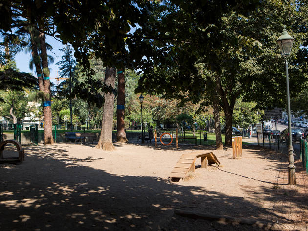 dog park, campo mártires da pátria, cão, cães, parque