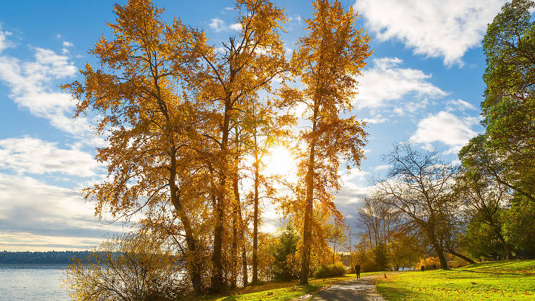 Parks in Seattle