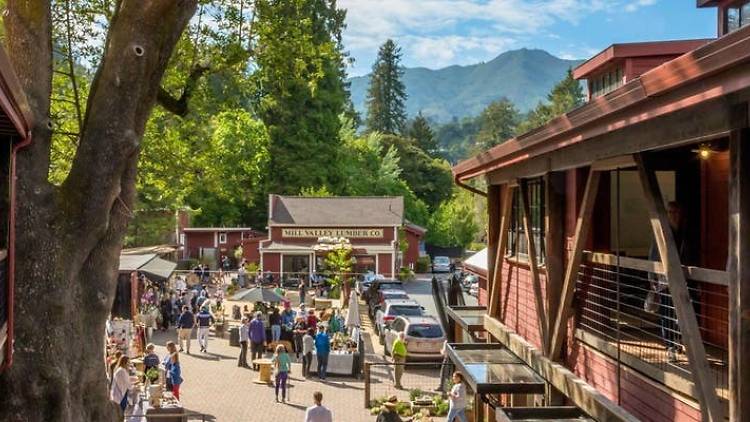 Mill Valley Lumber Yard