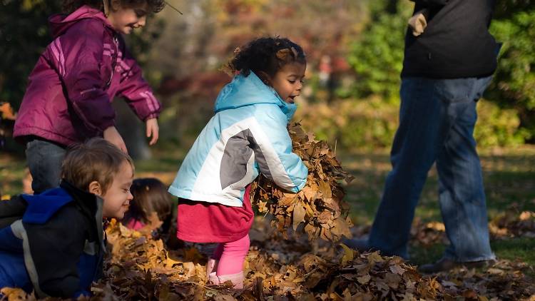 Family Art Project Dances with Leaves