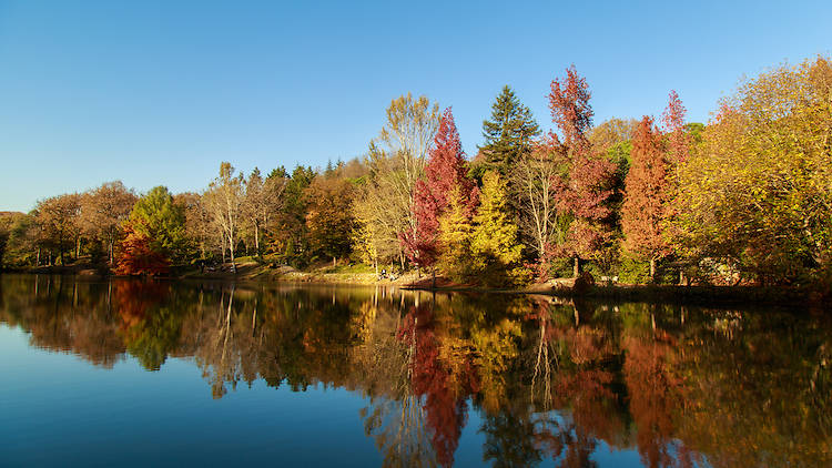 Atatürk Arboretum