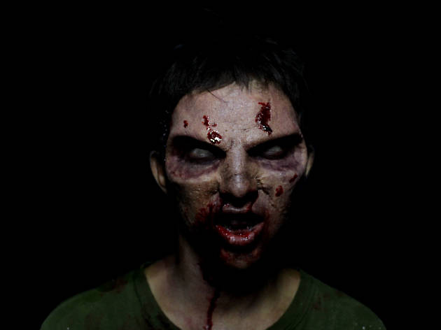 Apocalipsis Zombie Zombies en CDMX