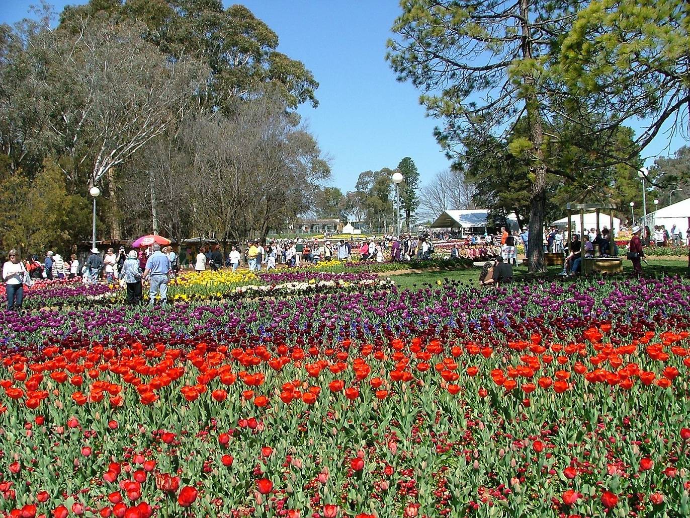 Things To Do In Canberra 14 Top Attractions And Activities 4812