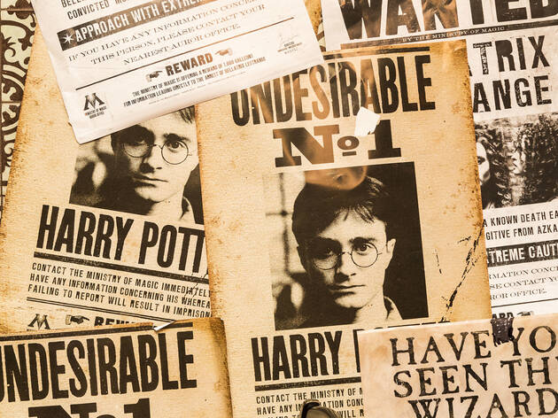 Harry Potter and the Prisoner of Azkaban in Concert hubbard inn, harry potter
