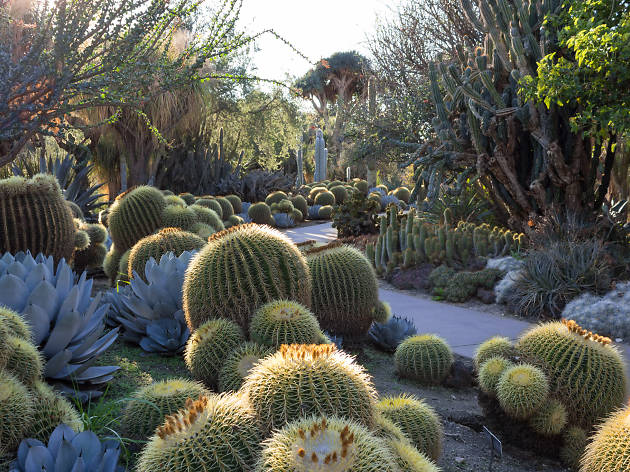 Huntington Library Art Collections Botanical Gardens Things