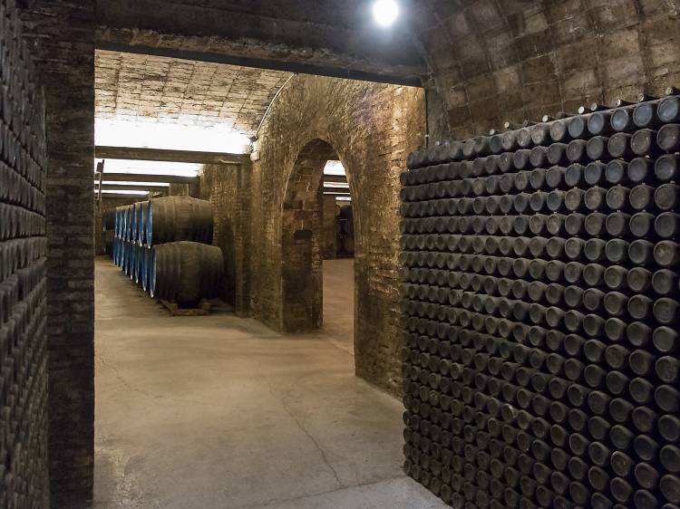 Caves Freixenet Sant Sadurní d'Anoia