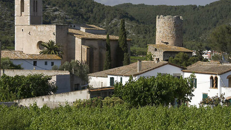 Día 2: Olivella y Sant Pere de Ribes