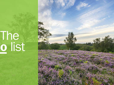 The 11 best things to do in Hampshire The 11 best things to do in Hampshire
