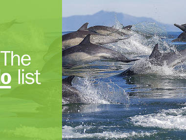 The 10 best things to do in Monterey The 10 best things to do in Monterey