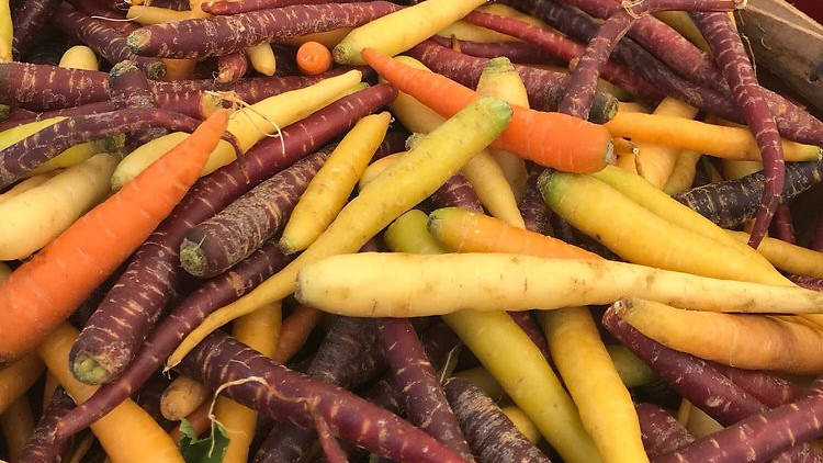 Charles River Farmers Market