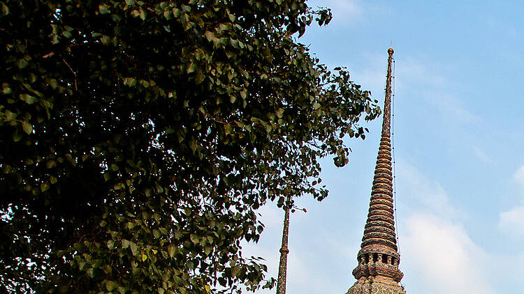 Get a foot massage at Wat Pho, Bangkok’s oldest temple complex