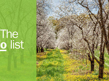 The 10 best things to do in Traverse City The 10 best things to do in Traverse City