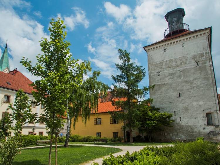 See the midday cannon fire from Lotrščak