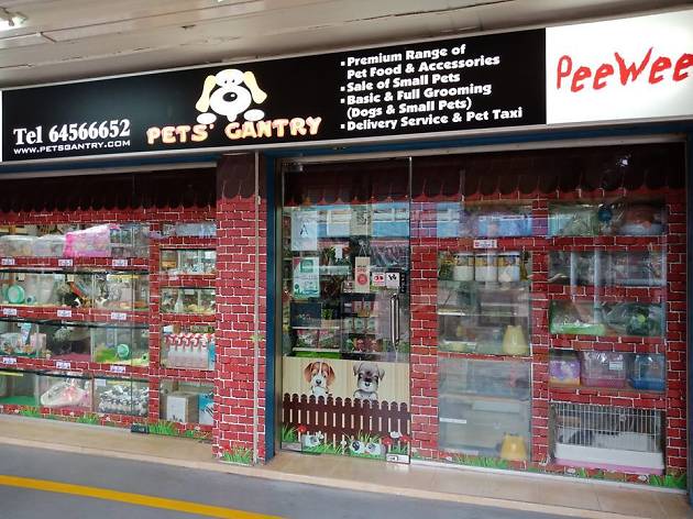 best pet shop near me