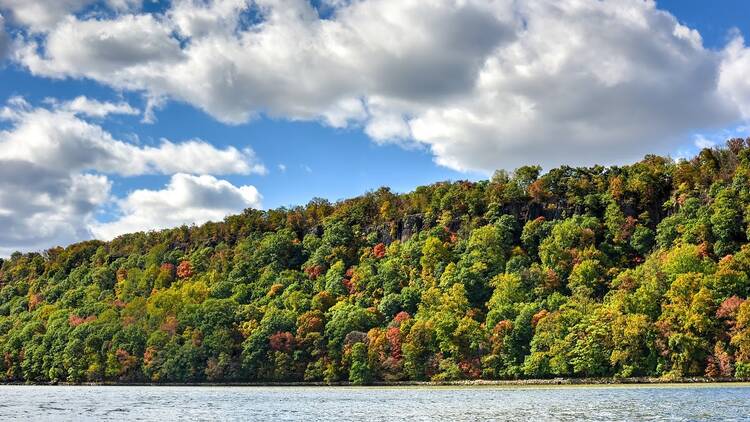 Fall Foliage Brunch Cruise