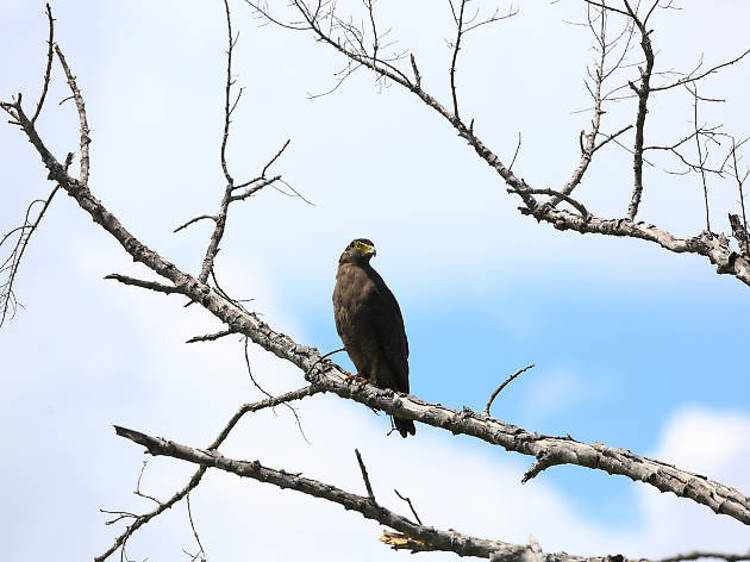 Kumana National Park