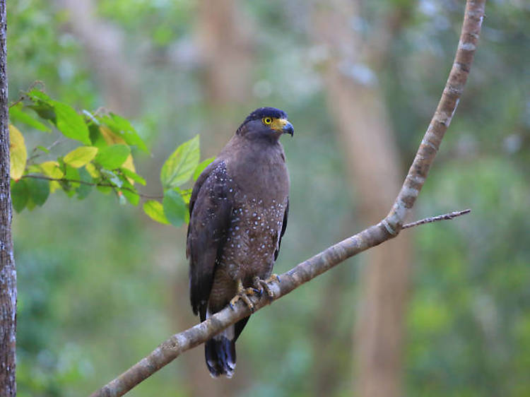 Wilpattu National Park