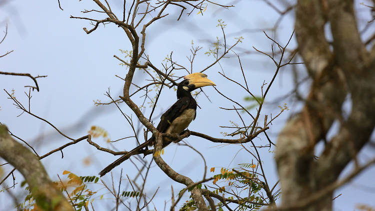 Wilpattu National Park