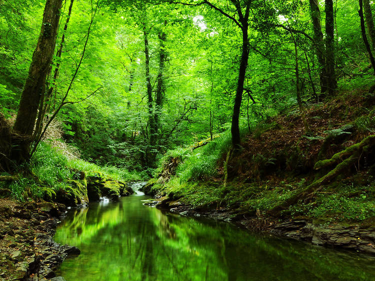 Lydford Gorge, Devon