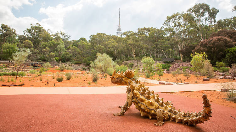 Australian National Botanic Gardens