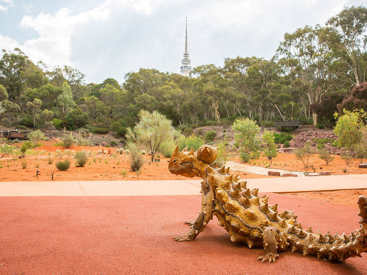 Australian National Botanic Gardens