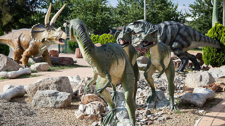 National Dinosaur Museum