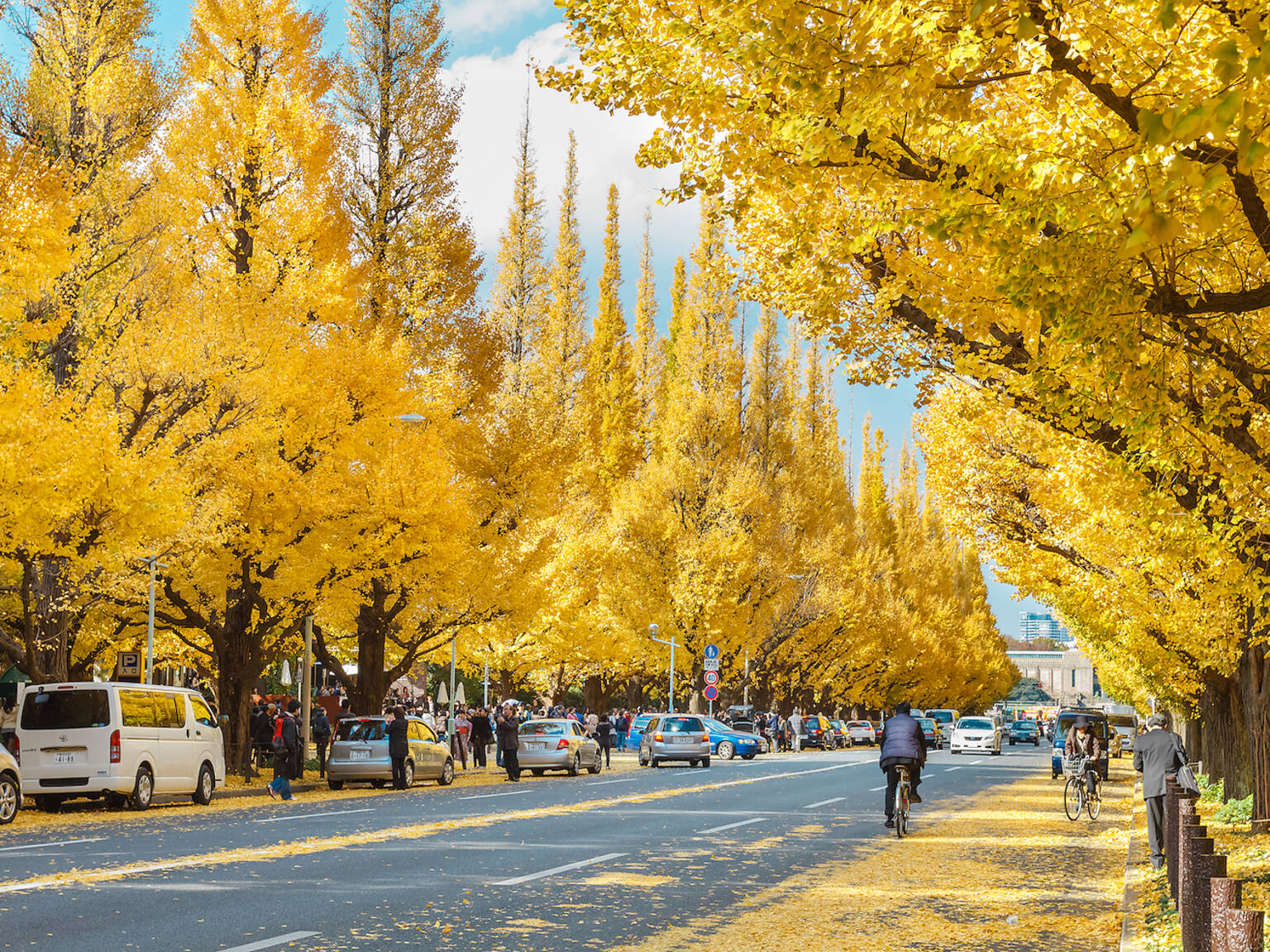 november-events-in-tokyo-time-out-tokyo