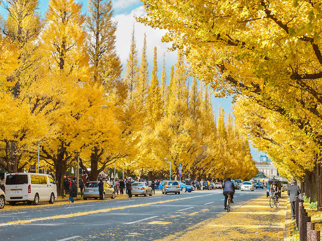 Where To See The Autumn Leaves In Tokyo Time Out Tokyo - 