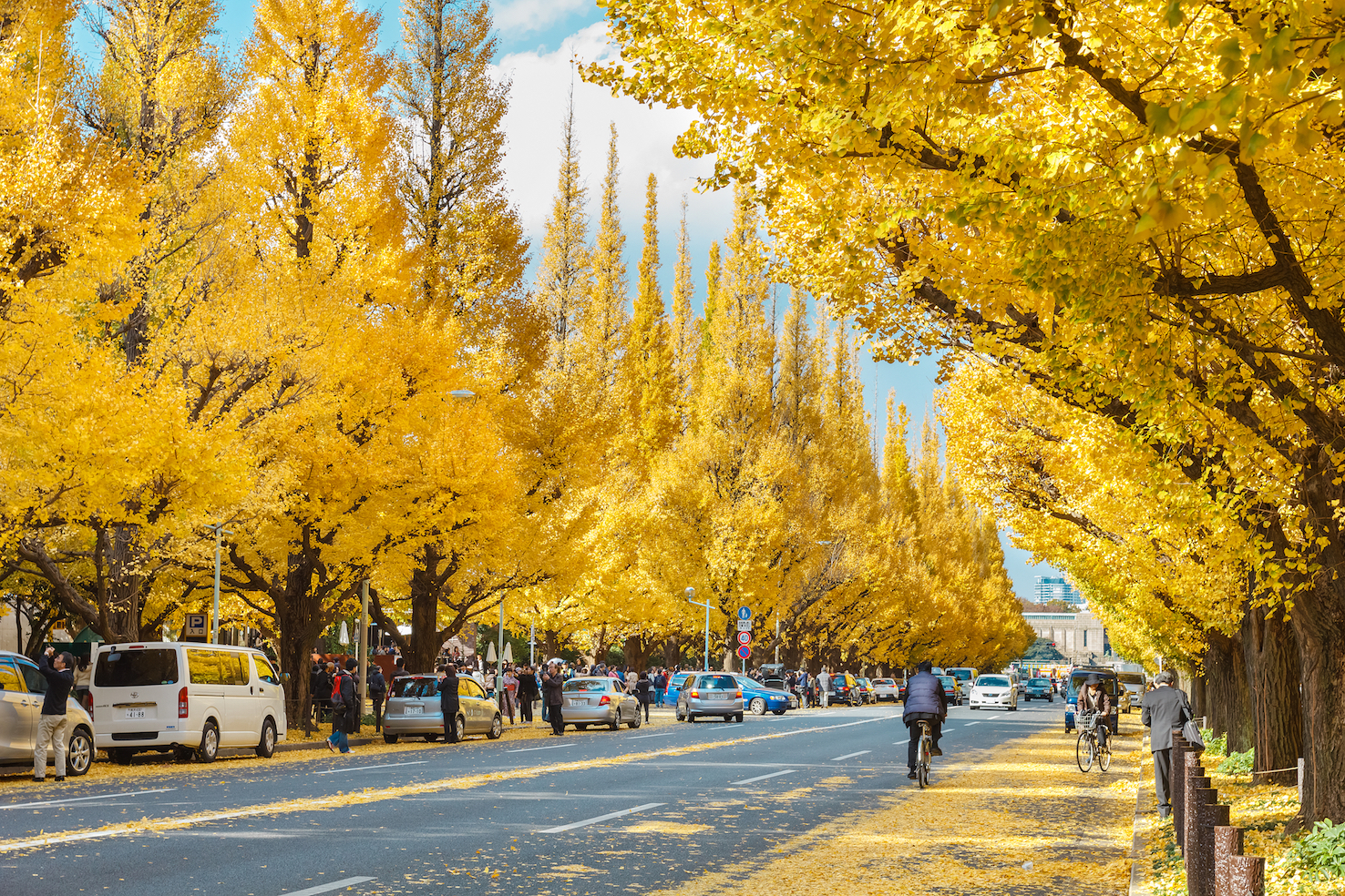 11 Best Parks And Gardens To See The Autumn Leaves In Tokyo