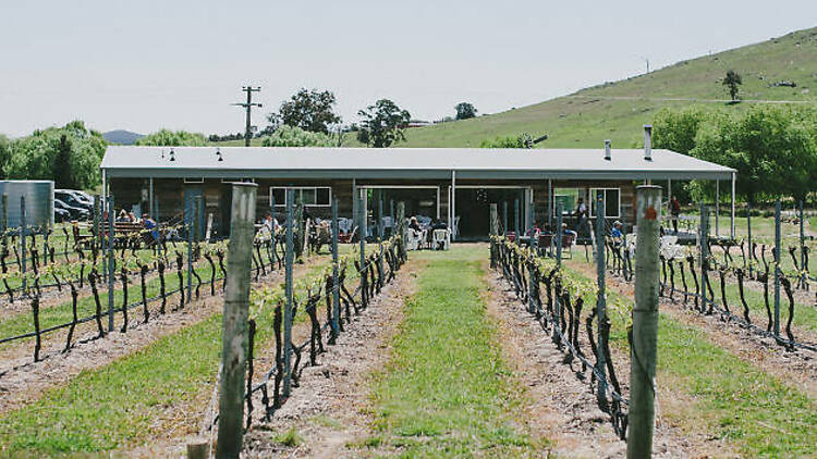 Four Winds Vineyard